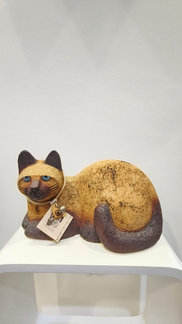 Gato vivo tumbado
