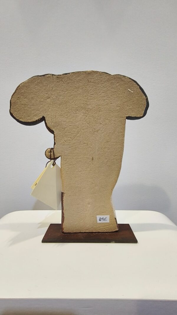 Torero Busto Plano